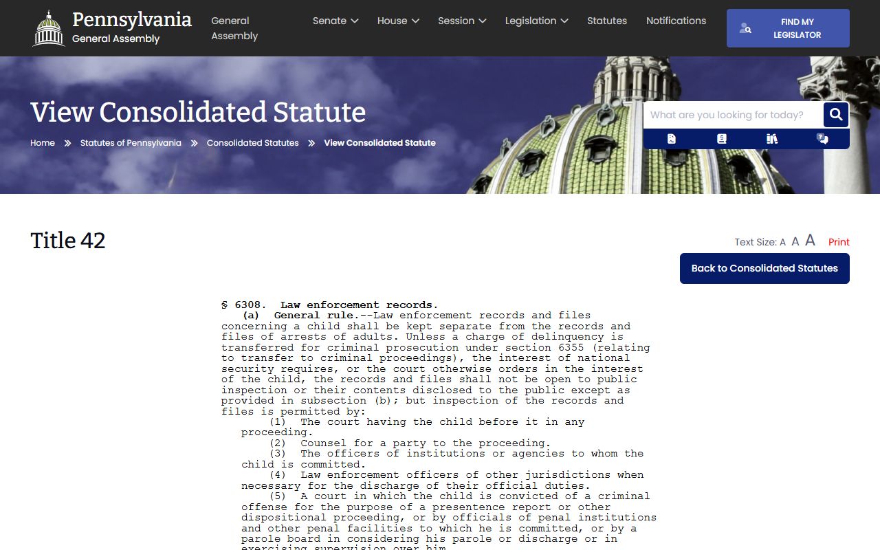 York County arrest records and court charges Pennsylvania juvenile law enforcement records statute