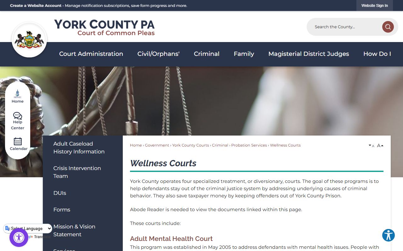 York County Court of Common Pleas records Wellness Courts page